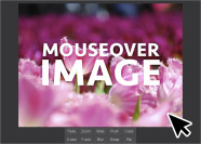 Mouseover Image